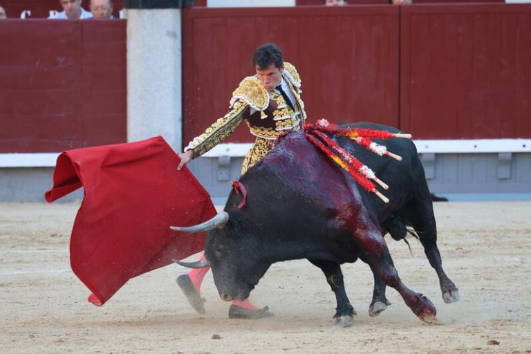 Onetoro TV suspende la retransmisión de la Feria de San Miguel y la Feria de Otoño debido a la 
