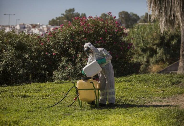 Andalucía suma 8 muertes por Virus del Nilo, la última de ellas la de un sevillano con patologías
