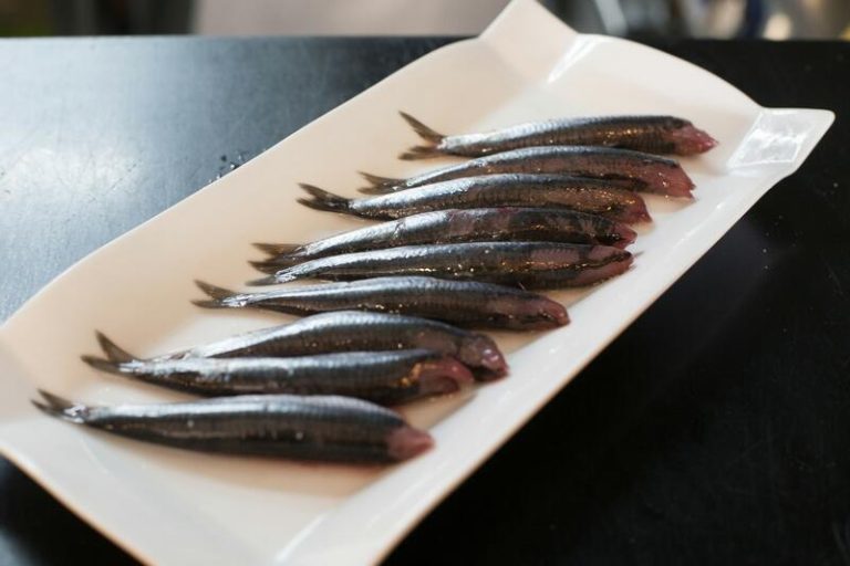 España presiona en Bruselas para revertir los recortes en la cuota de anchoa en el golfo de Cádiz