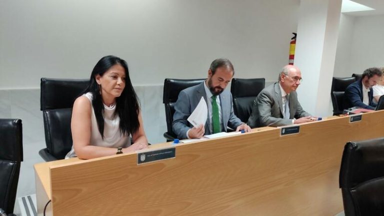 Dejan el grupo Vox en San Sebastián de los Reyes dos de sus tres concejales por 