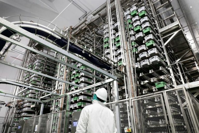 La Familia Martínez invertirá 150 millones para continuar con su plan de crecimiento