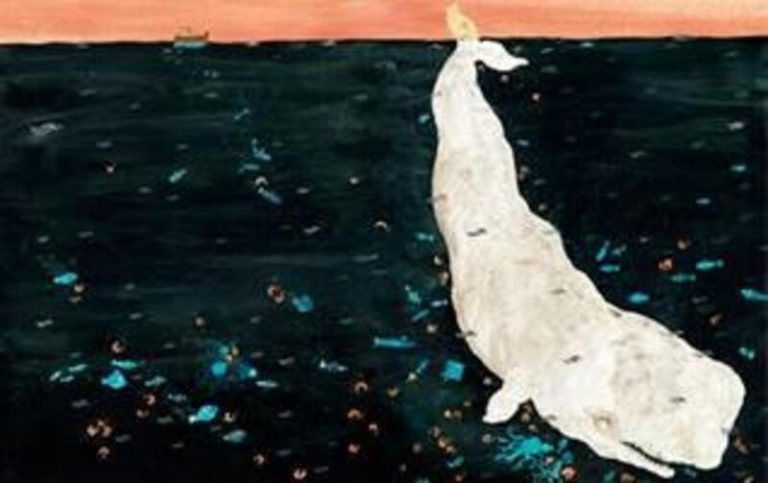 Descubre lo fascinante del mundo de las ballenas en las nuevas muestras del Museo de Ciencias Naturales