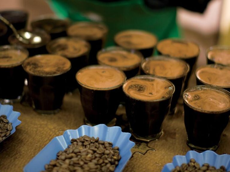 Starbucks celebra la Semana del Café con 5 talleres gratuitos para poner en valor la 2ª bebida más consumida del mundo