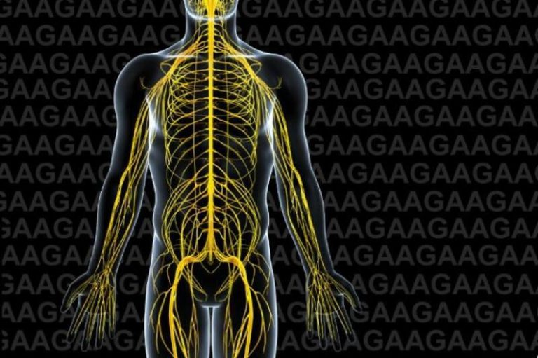 La personas con ataxia de Friedreich esperan en torno a 3 años para recibir un diagnóstico