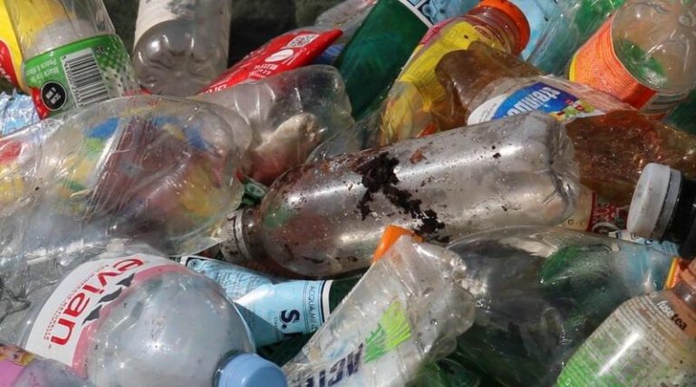 Greenpeace reclama un sistema más operativo para devolver envases y Ecoembes afirma estar a la par del mejor sistema