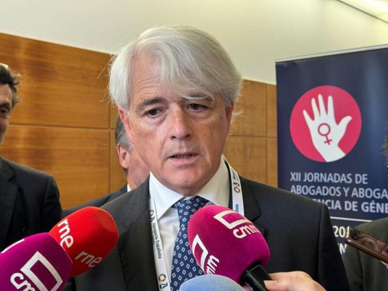 La Abogacía exige respetar el acuerdo contra la violencia de género para que las víctimas se sientan amparadas por la ley