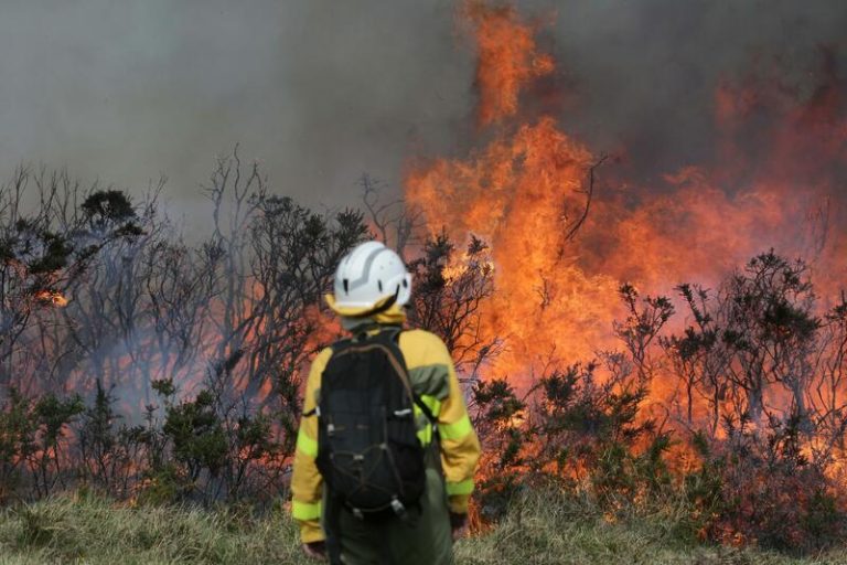 Extinguido el incendio de Carballedo y San Cristovo de Cea tras calcinar 31 hectáreas