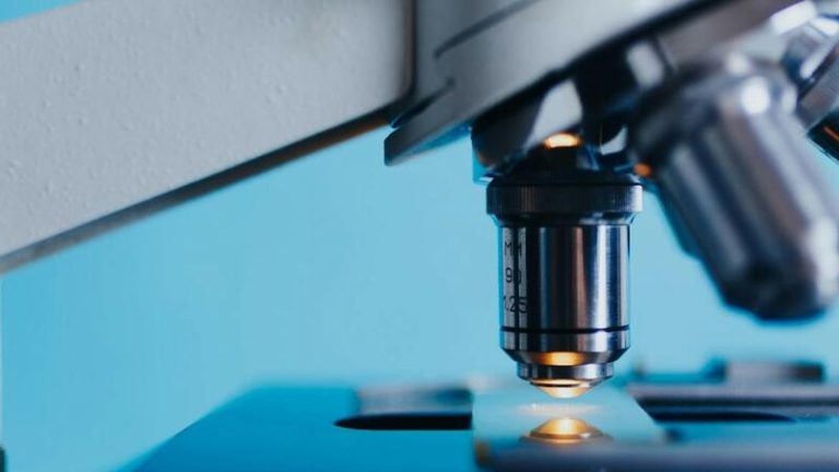 Científicas del CSIC lideran 'Manuela', un proyecto sobre alimentación, microbiota y salud de las mujeres en España