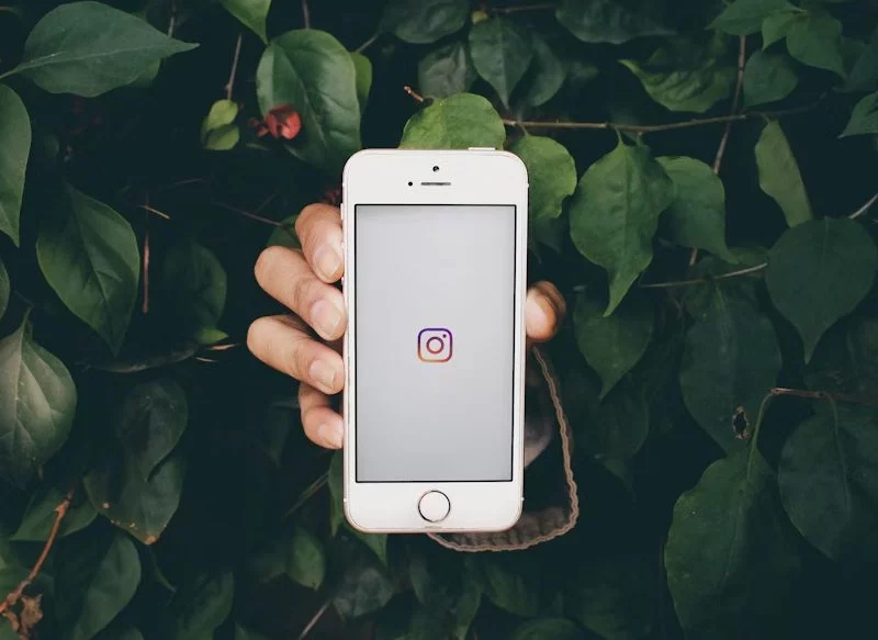 NOVEDADES EN REELS Y STORIES