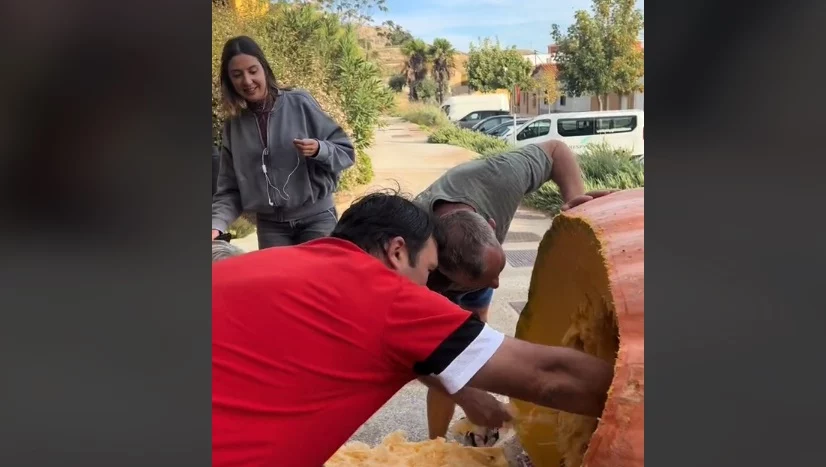 Hoy, en lo nunca visto: una reportera se mete dentro de una calabaza gigante 1 Calabaza gigante por dentro y periodista se mete