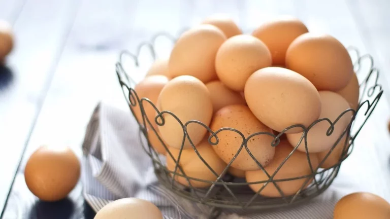 ¿Es posible perder peso comiendo solo huevos? Lo que afirman los expertos