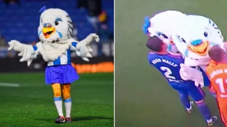 Hugo Mallo declarado culpable tras tocar el pecho a la mascota del Espanyol