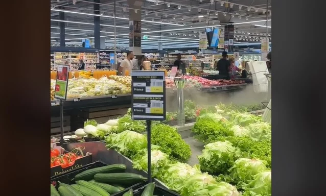 Las alucinantes compras semanales de una española que vive en la frontera entre Suiza, Francia y Alemania