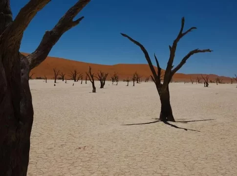La Isla de las Muñecas y otros destinos inusuales que merecen la pena visitar al menos una vez La Isla de las Muñecas y otros destinos inusuales que merecen la pena visitar al menos una vez