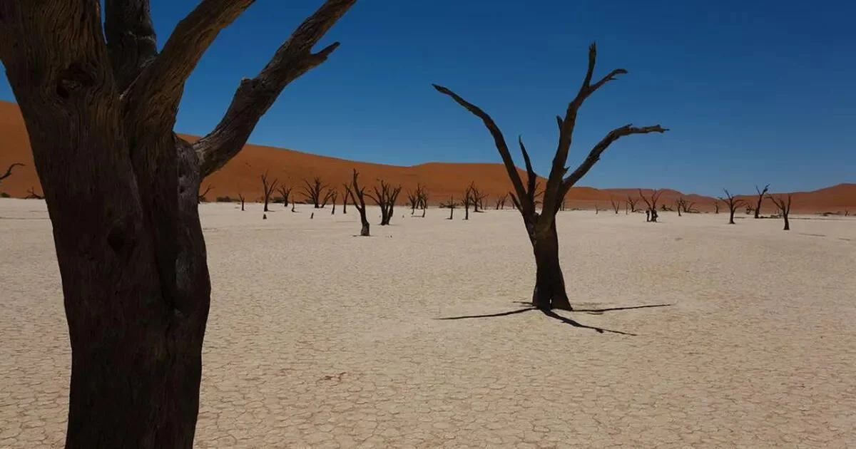 La Isla de las Muñecas y otros destinos inusuales que merecen la pena visitar al menos una vez La Isla de las Muñecas y otros destinos inusuales que merecen la pena visitar al menos una vez