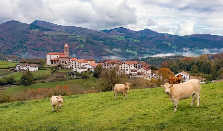 La gastronomía de otoño en Navarra: recetas tradicionales con productos de temporada que debes probar