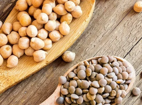 Conclusión: ¿Son los garbanzos un alimento seguro? Conclusión: ¿Son los garbanzos un alimento seguro?
