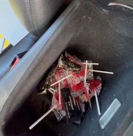 "El bolsillo de Doraemon": Lo que un desguace ha encontrado dentro de un Mercedes es insólito 2 Mercedes con el bolsillo de 'Doraemon'