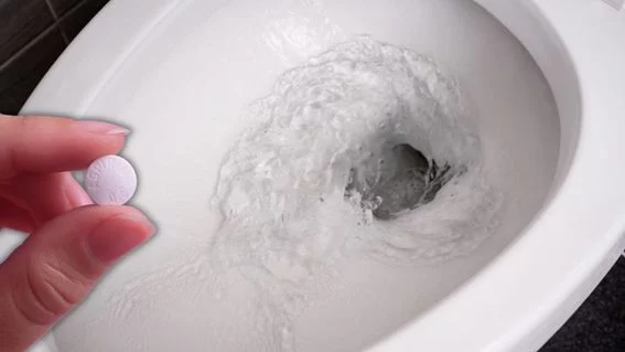 Paso a paso para un inodoro reluciente