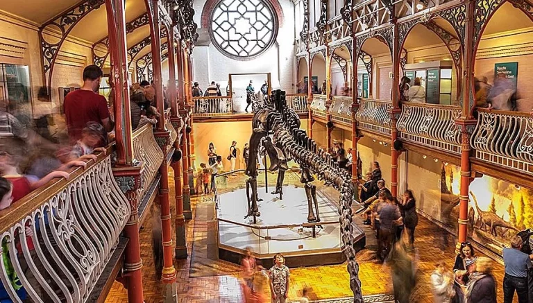 Por qué hay un museo en Inglaterra que invita a los visitantes a entrar desnudos