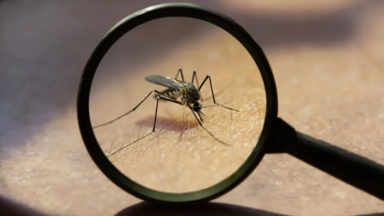 He probado 5 alternativas a las mosquiteras y una me ha sorprendido (adiós, insectos)