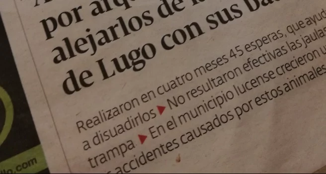 Definen como 