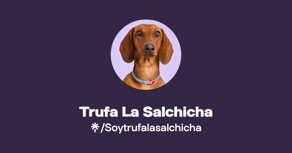 Trufa La Salchicha: cómo convertirse en una máquina de hacer dinero