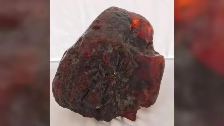 Usaba esta piedra para que no se cerrara la puerta sin saber que valía 1 millón de euros
