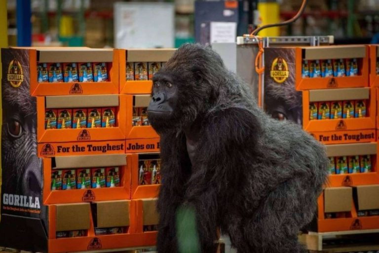 Gorilla Glue participará en la Feria Eurbrico de Valencia presentando su producto Insignia