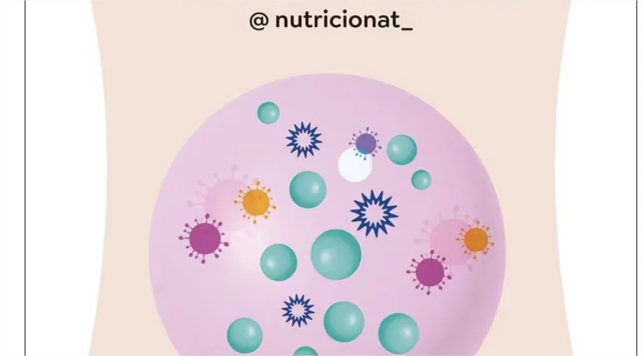 Descubre nuevas historias y aventuras con las ofertas en libros de El Corte Inglés 2 nutricion