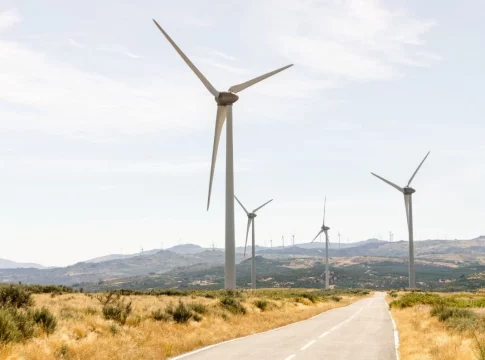 parque eolico