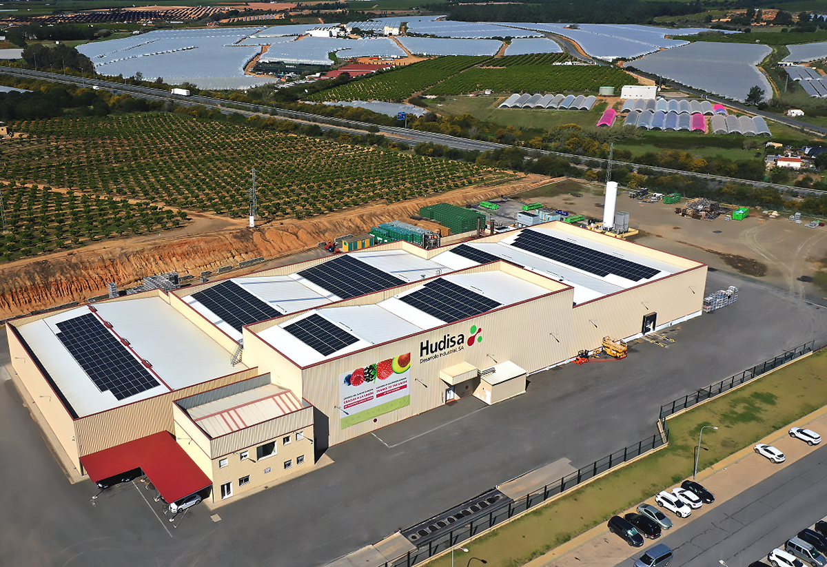 Hudisa apuesta por un futuro verde y certifica su responsabilidad ecológica 1 Hudisa ISO 14001 1