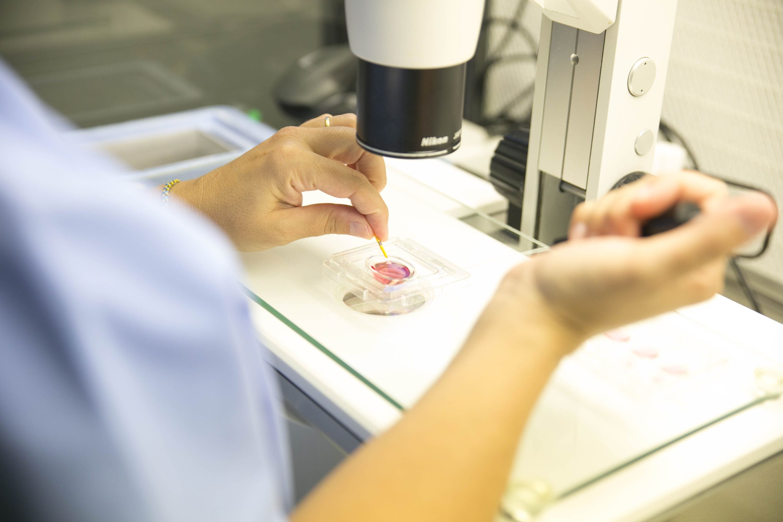 Clínica Tambre mejora un 40% el éxito en reproducción asistida con un nuevo avance para casos complejos 1 LABORATORIO FIV biloga scaled