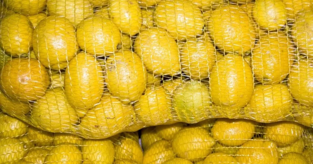 Conclusiones que invitan a una compra más informada