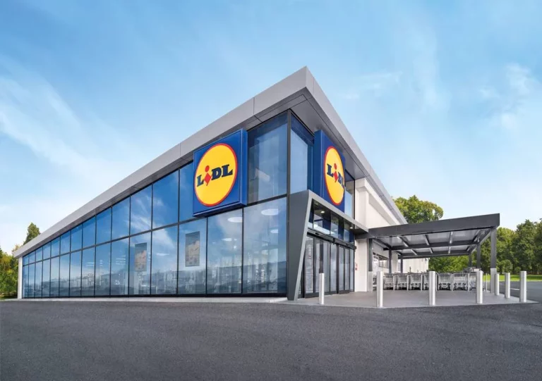 Lidl tiene un producto de 8 euros al estilo IKEA y Leroy Merlin para dejar tu casa ordenada y recogida