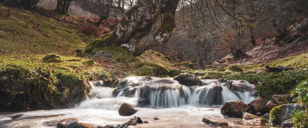 Rutas y lugares imprescindibles