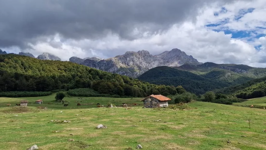 Tradiciones arraigadas