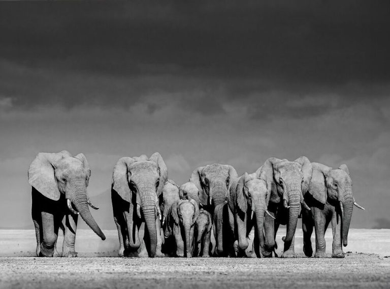 El español José Miguel Angulo Manso, gana el primer premio de los 'International Photography Awards – 2024'