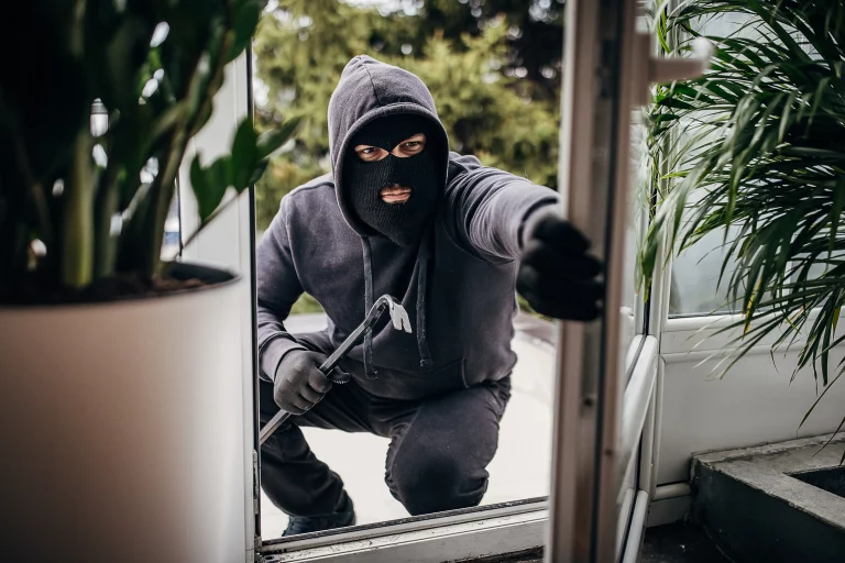 Lidl vende un revolucionario felpudo antirrobo de 20 euros con alarma contra ladrones