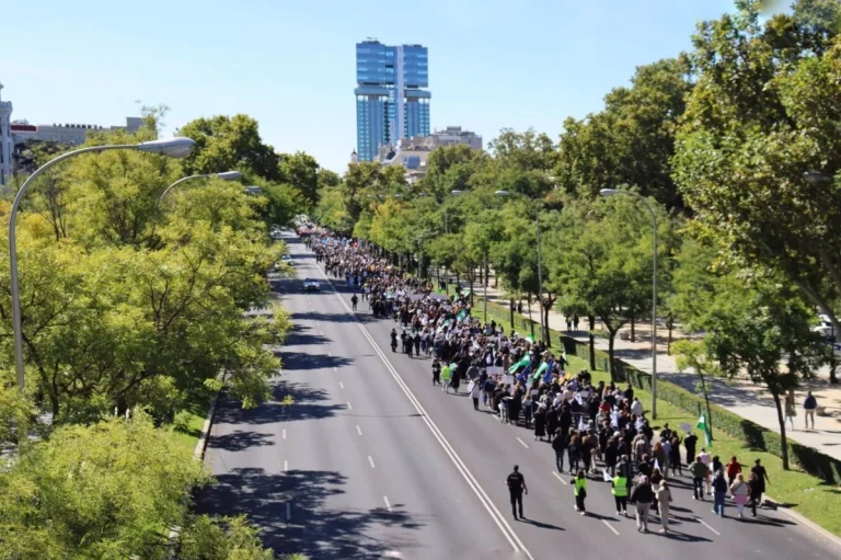 La convocatoria de la manifestación para pedir una 