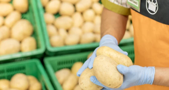 Patatas: el alimento subestimado que merece un lugar en la mesa