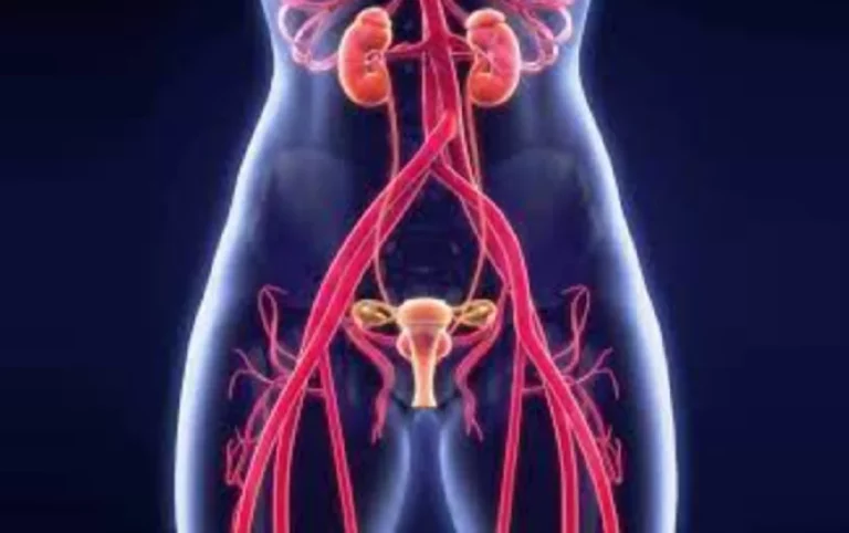 Pon el freno a las varices pélvicas, sinónimo de dolor y de falta de calidad de vida
