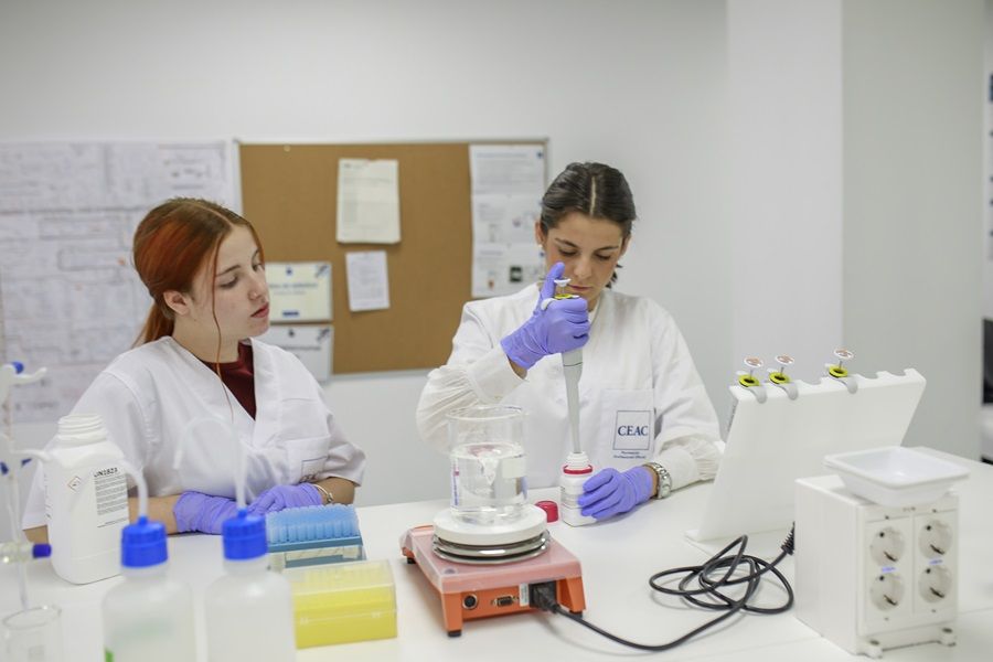 Nueva convocatoria de FP en febrero de 2025 para responder a la alta demanda de estudiantes 1 Nueva convocatoria de FP en febrero de 2025 para responder a la alta demanda de estudiantes