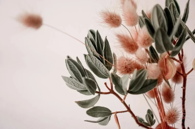 Qué son las flores preservadas