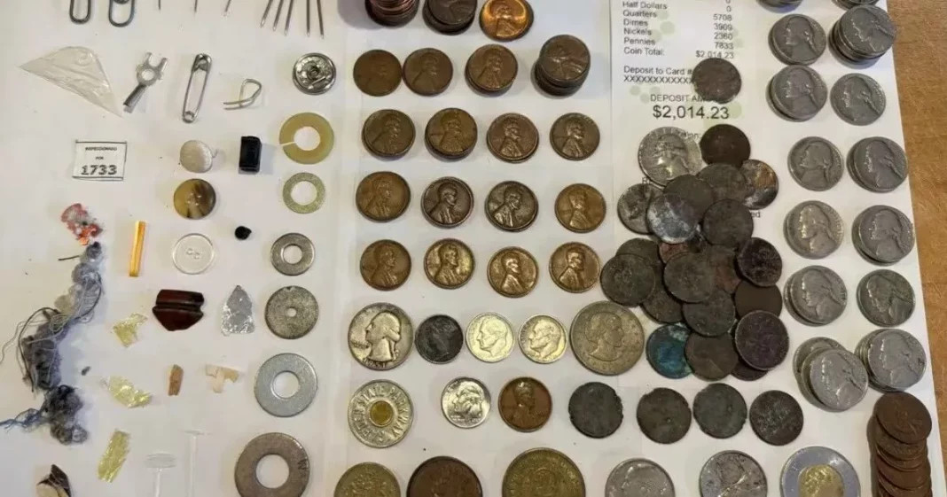 El origen del Lincoln Wheat Penny