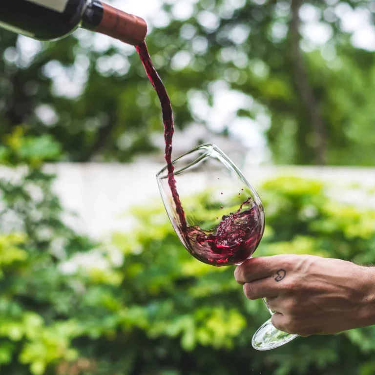 Los vinos tintos españoles con puntuación de escándalo que cuestan menos de 10 euros