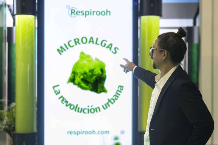 'Puricidad', la evolución de la publicidad exterior para cuidar el medioambiente