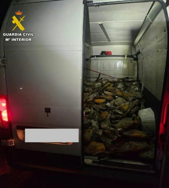 Interceptan una furgoneta robada en Sevilla que cargaba 344 jamones sustraídos en Huelva