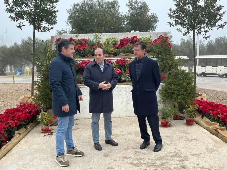 Carabante califica como "periodo de aviso" la prórroga de circulación de coches sin etiqueta de empadronados en Madrid