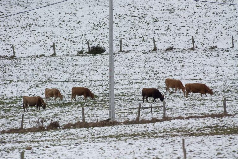 La AEMET alerta de numerosas heladas en la previsión del tiempo del lunes